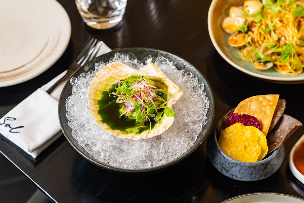 STARTERS | Sol Kitchen & Bar D1