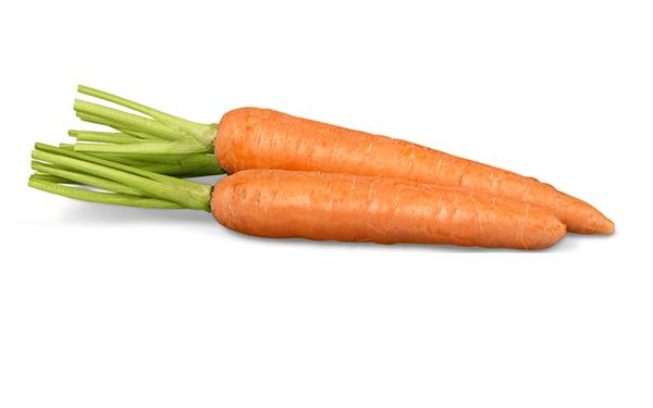 Zanahoria 🥕