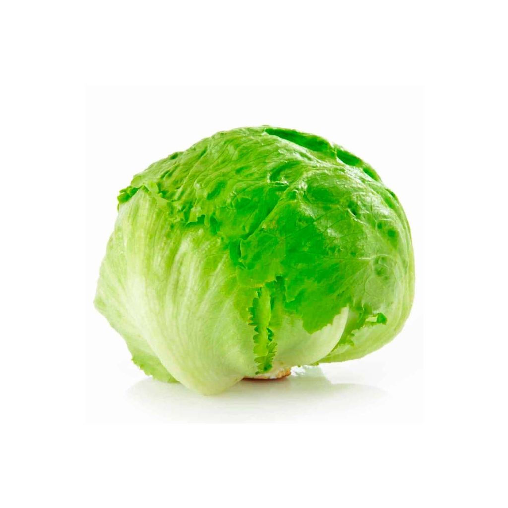 Lechuga Escarola 🥬