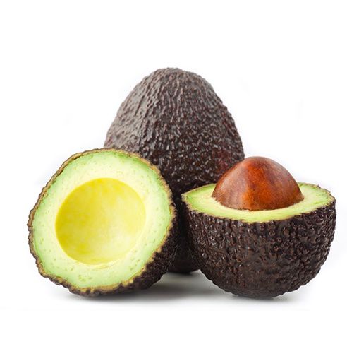Palta